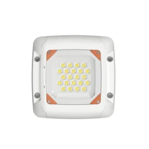 low bay LED canopy light 1_800_800