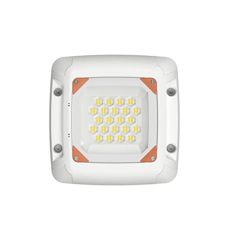 low bay LED canopy light 1_800_800